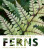The Plant Lover's Guide to Ferns - Richie Steffen,Sue Olsen