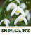 The Plant Lover''s Guide to Snowdrops - Naomi Slade