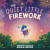 The Quiet Little Firework - Nicola Coppack