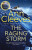 Raging Storm - Ann Cleevesová
