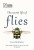 The Secret Life of Flies - Erica McAlister