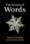 The Secrets of Words - Noam Chomsky,Andrea Moro