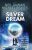 The Silver Dream - Neil Gaiman,Michael Reaves