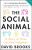 The Social Animal : A Story of How Success Happens - David Brooks