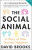 The Social Animal - David Brooks