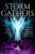 The Storm Gathers - Maelan Holladay