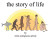 The Story of Life - Chris Chris