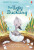 The Ugly Duckling - Fiona Patchettová