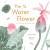 The Water Flower - Yingting Chen