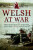 The Welsh at War - Steven John