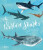 The World of Sharks - Dobell