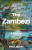 The Zambezi - Malyn Newitt
