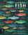 There are Fish Everywhere - Katie Haworth