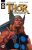 Thor: Vikingové - Garth Ennis,Glenn Fabry