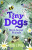 Tiny Dogs: Beaâ€™s Secret Friends - Rose Lihou