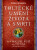 Toltécké umění života a smrti: Příběh objevování - Don Miguel Ruiz,Barbara Emrys