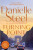 Turning Point - Danielle Steel