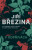 V kopřivách - Jiří Březina