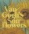 Van Gogh's Sunflowers - 
