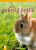 Váš zakrslý králík - Vaše zvířátko - Monika Weglerová