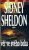 Věř ve svého boha - Sidney Sheldon