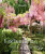 Veranda Enchanting Gardens - Stephanie Hunt