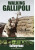 Walking Gallipoli - Stephen Chambers