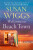 Welcome to Beach Town - Susan Wiggsová
