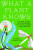 What a Plant Knows - Daniel Chamovitz