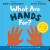 What Are Hands For? Board Book - Abbey Wedgeworth