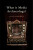 What is Media Archaeology? - Jussi ) Parikka