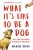 What It's Like to Be a Dog: And Other Adventures in Animal Neuroscience - Gregory Berns