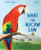 What the Macaw Saw - Charlotte Guillain