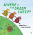Where is the Green Sheep? - Mem Fox,Judy Horacek