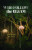 Who Follow the Gleam - Christian Wessels