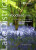 Woodland Walks - Top 10 Walks Series, Lake District - Vivienne Crow