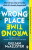 Wrong Place Wrong Time (poškozená) - Gillian McAllisterová