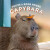 You're a Good Friend, Capybara - Chronicle Books