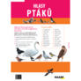 Hlasy ptáků 2