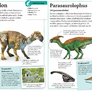 Dinosauři a prehistorický život 3