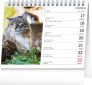 Stolní kalendář Kočky – se jmény koček 2024, 16,5 × 13 cm 2