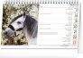 Stolní kalendář Koně – Kone CZ SK 2024, 23,1 × 14,5 cm 2