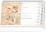 Stolní kalendář Psi – Psy CZ SK 2024, 23,1 × 14,5 cm 2