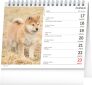 Stolní kalendář Psi – se jmény psů 2024, 16,5 × 13 cm 2