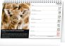 Stolní kalendář Za zvířaty do zoo – Miroslav Bobek 2024, 23,1 × 14,5 cm 2