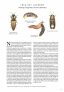 Zázračný svět hmyzu 5