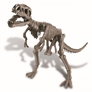 4M Dinosauří kostra - REX (603221) 2