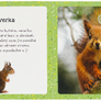 401709-3_6628-zvuky-pro-nejmensi-milovana-zvirata-3