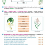 Pracovní listy k učebnici Rozmanitost přírody 4 1 5
