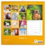 Poznámkový kalendář Koně – Christiane Slawik 2025, 30 × 30 cm 11